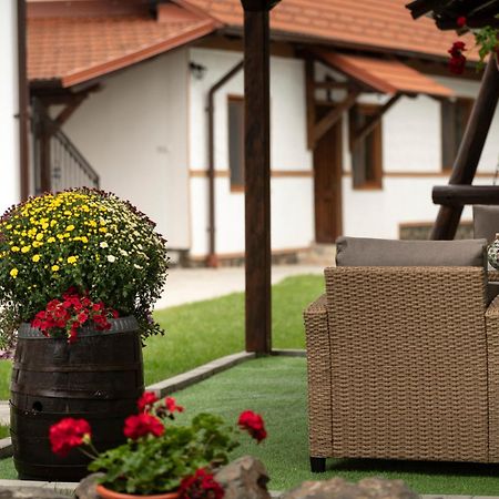 Hotel Magda Garden Cîrţişoara Exterior foto