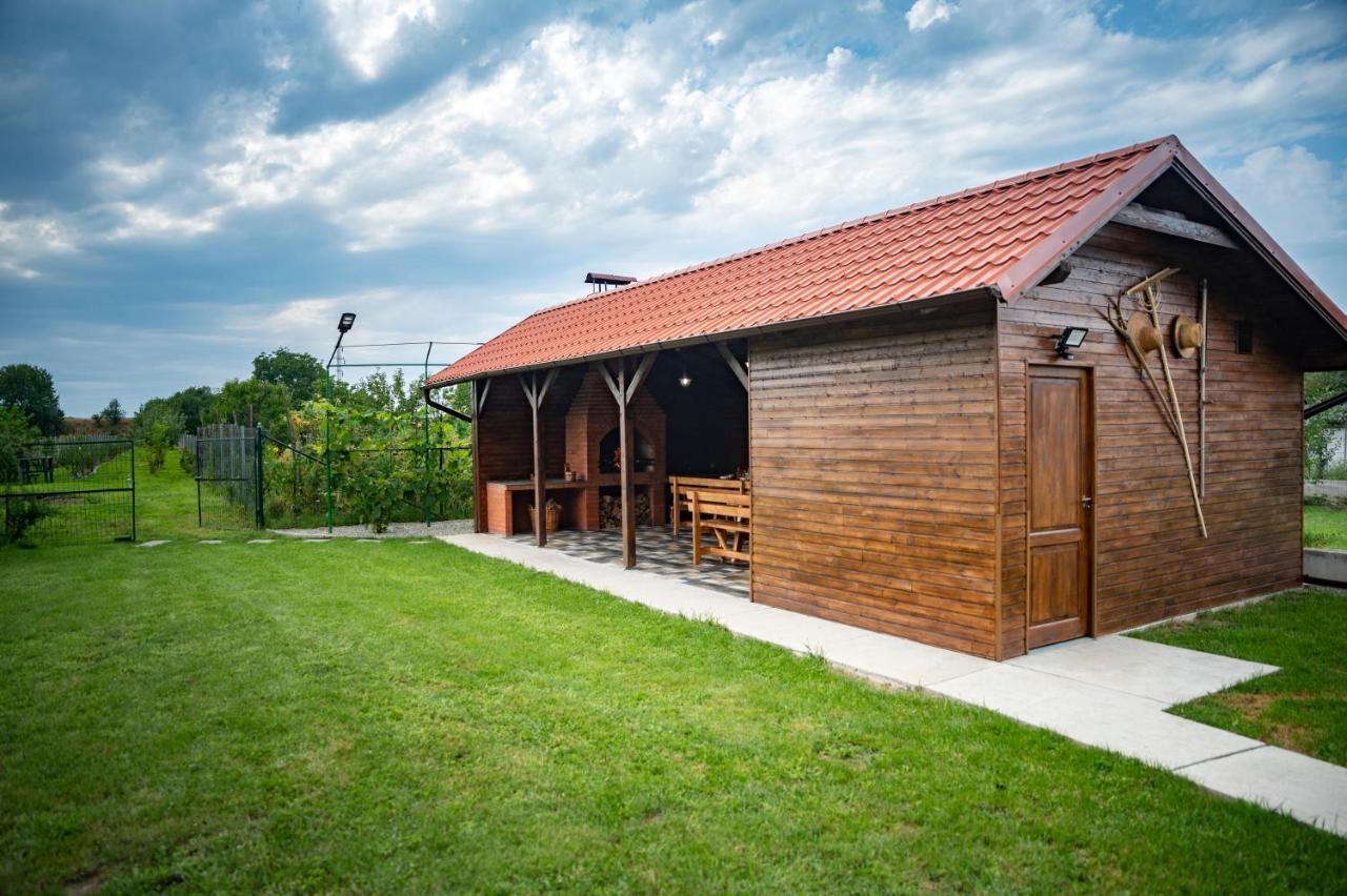 Hotel Magda Garden Cîrţişoara Exterior foto