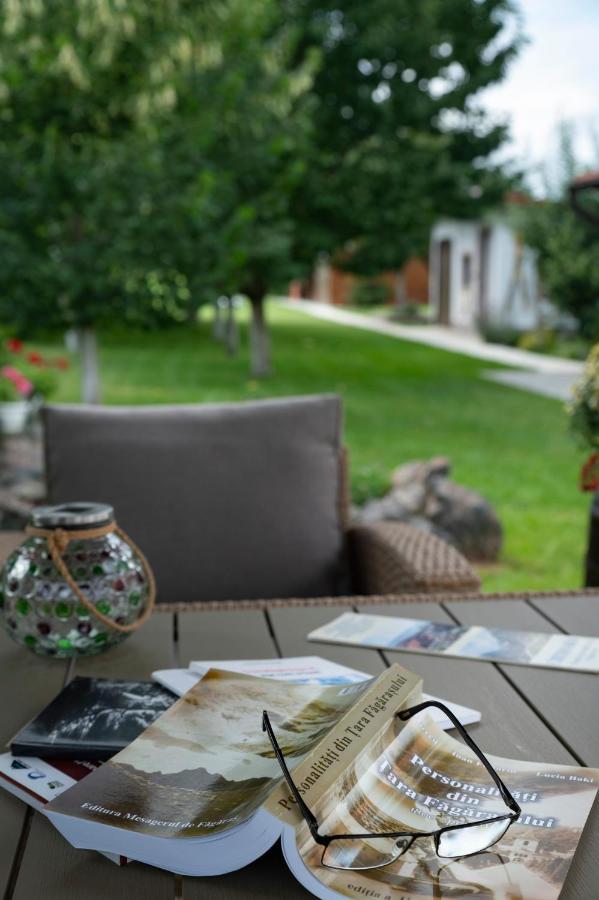 Hotel Magda Garden Cîrţişoara Exterior foto