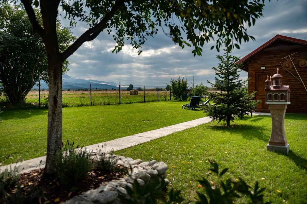 Hotel Magda Garden Cîrţişoara Exterior foto