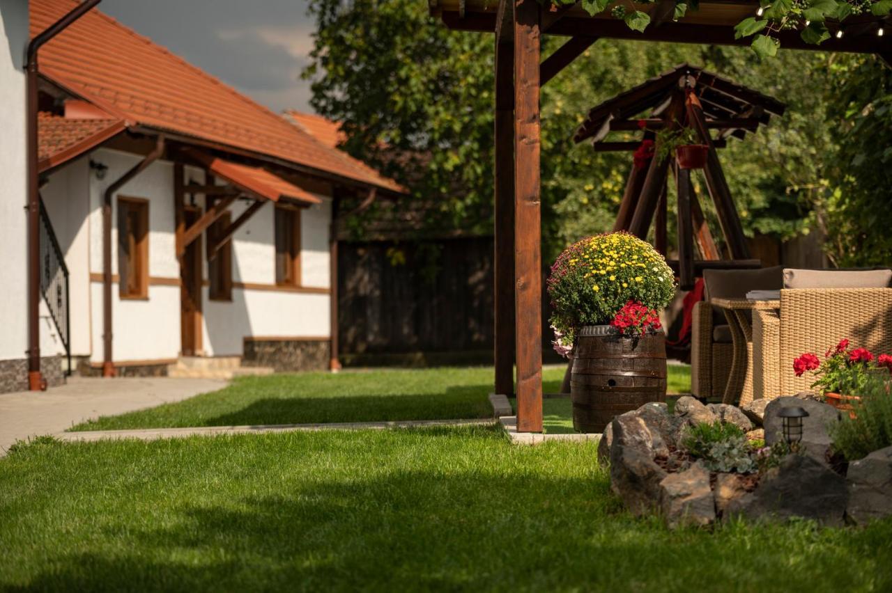 Hotel Magda Garden Cîrţişoara Exterior foto