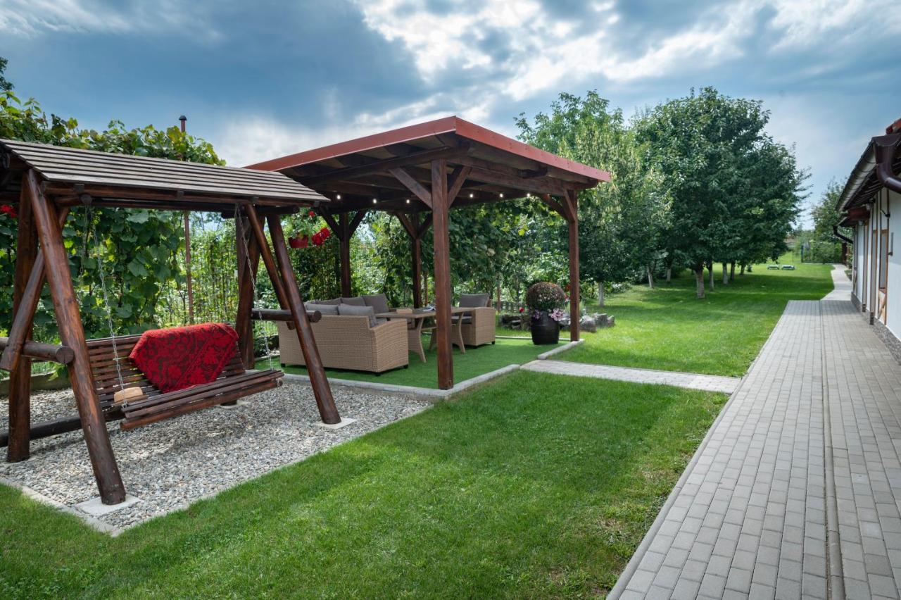 Hotel Magda Garden Cîrţişoara Exterior foto