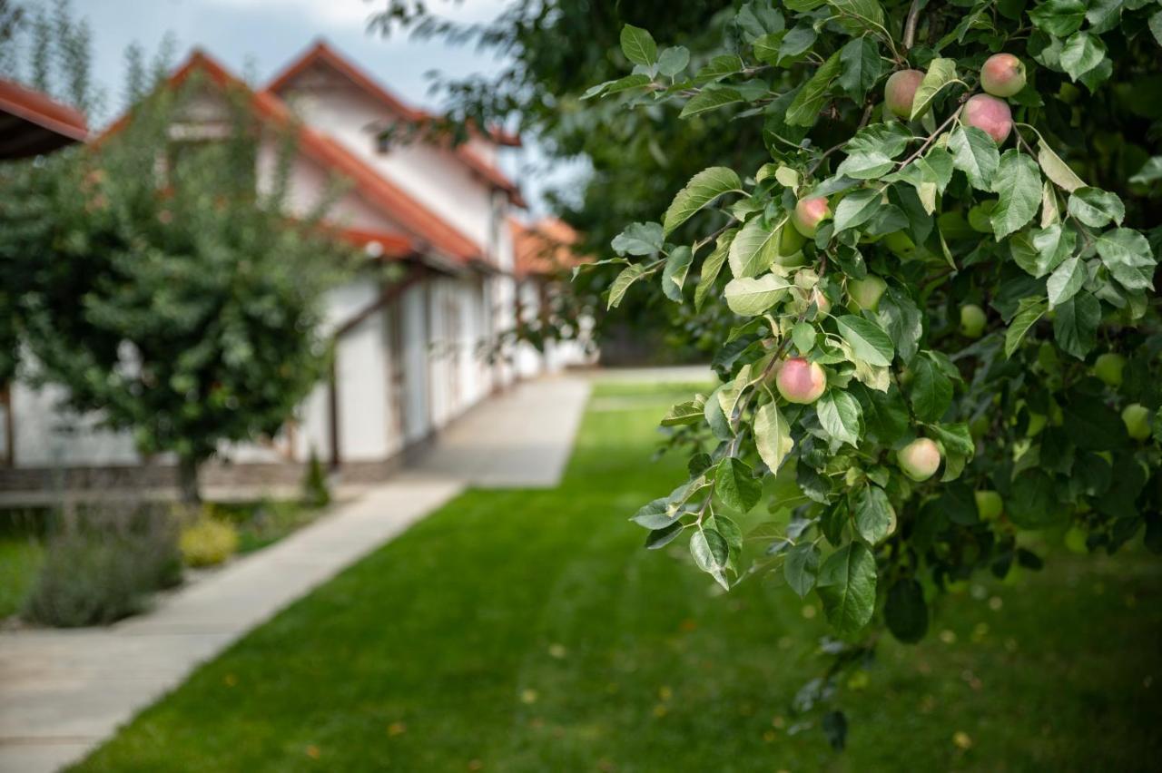 Hotel Magda Garden Cîrţişoara Exterior foto