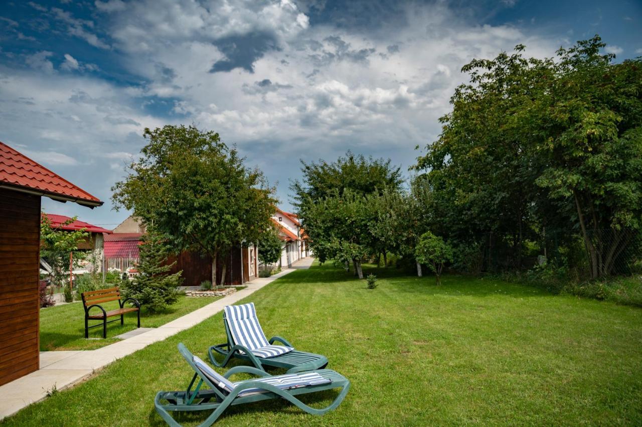 Hotel Magda Garden Cîrţişoara Exterior foto